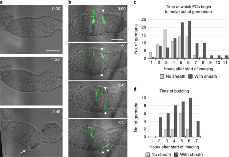 Fig. 2: