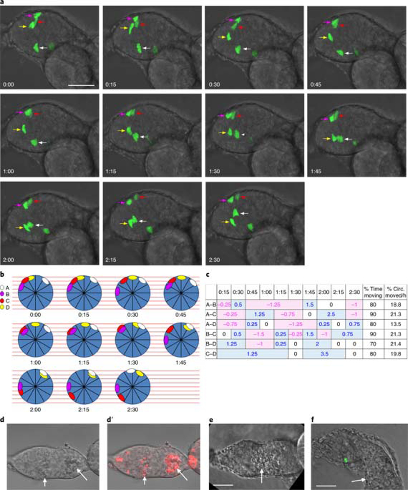 Fig. 4: