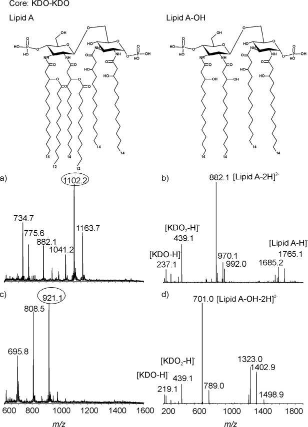 FIG. 4.