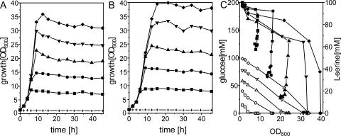 FIG. 1.