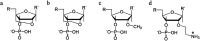 Fig. 12