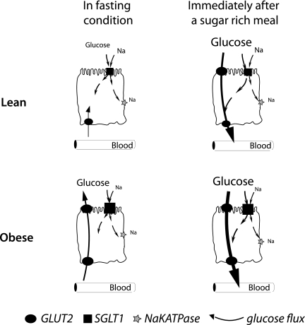 FIG. 5.