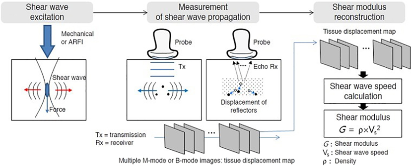 Figure 1: