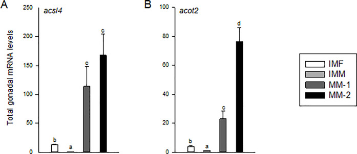 Fig 5