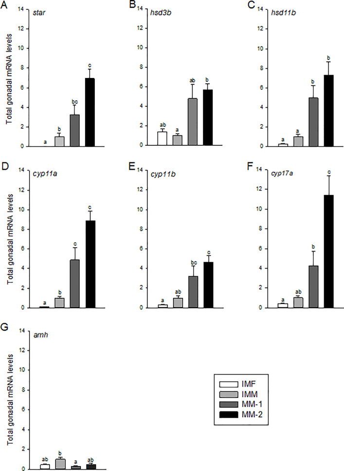 Fig 4