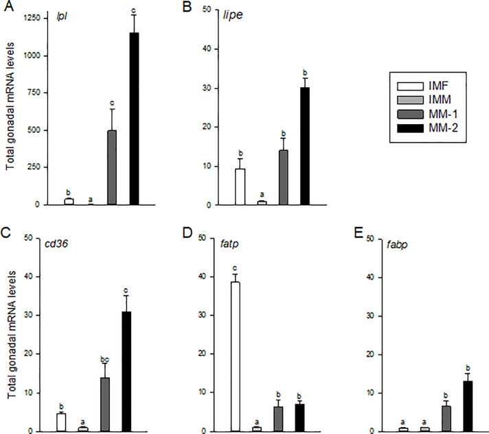 Fig 6