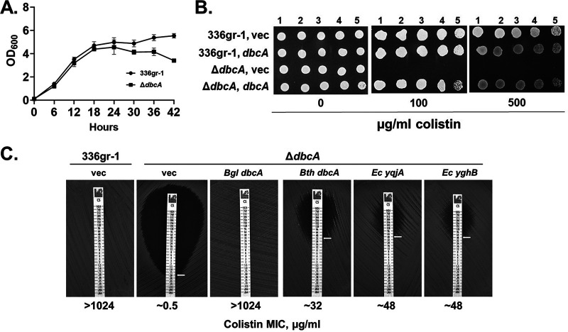 FIG 1