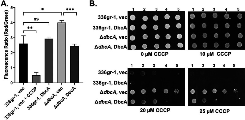 FIG 4