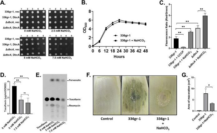 FIG 5