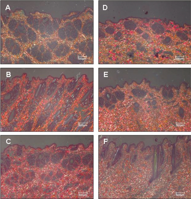 Figure 4 -