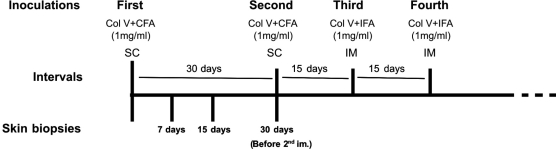 Figure 1 -