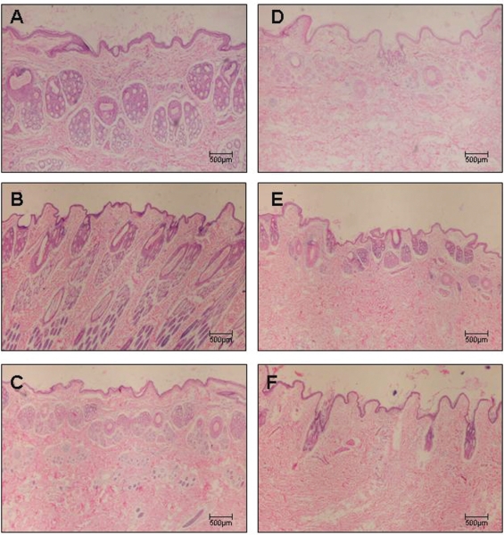 Figure 2 -