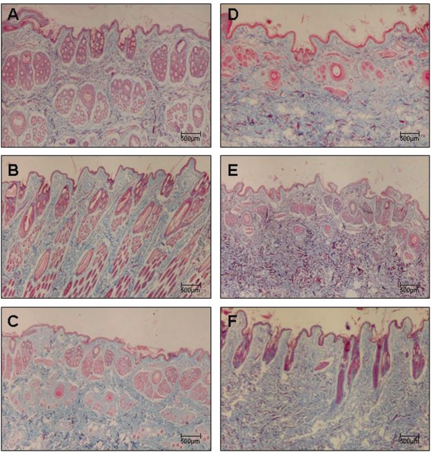 Figure 3 -