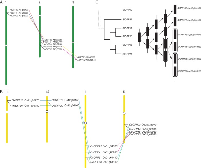 Fig. 7.