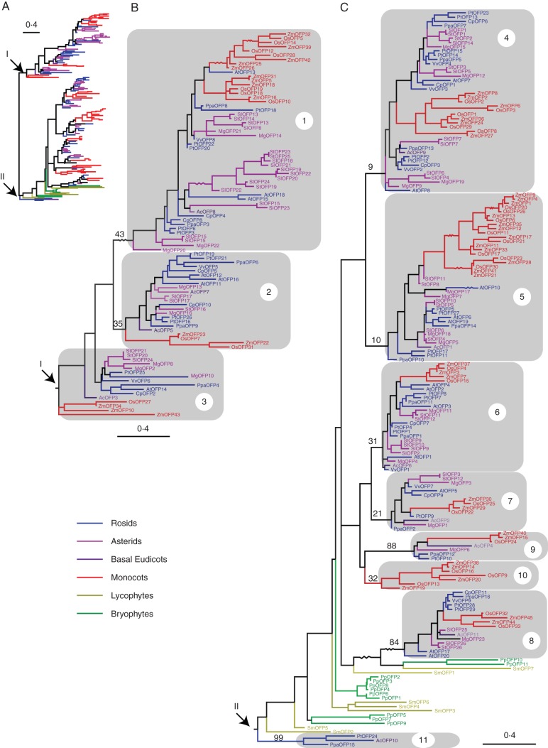 Fig. 2.