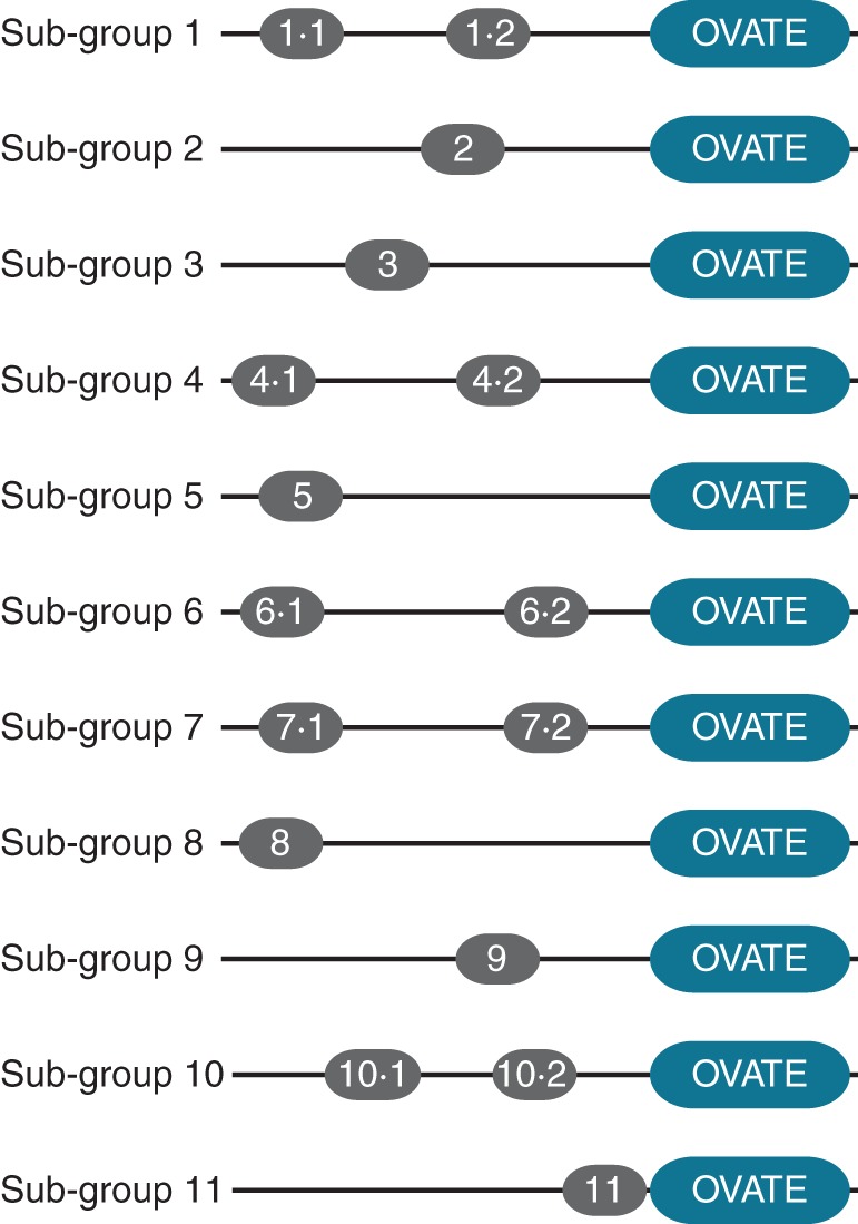 Fig. 3.