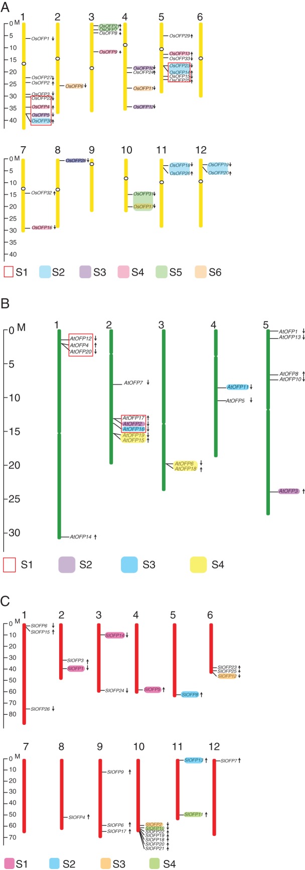 Fig. 4.