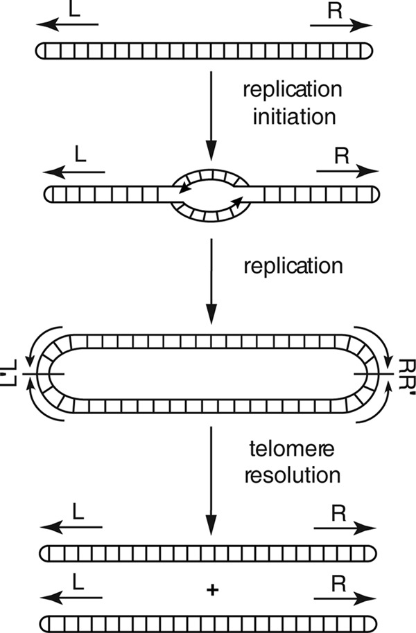 FIG 1