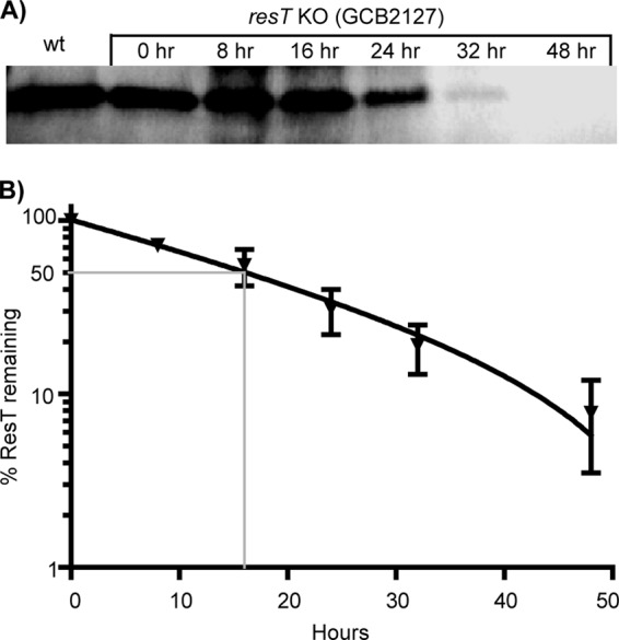 FIG 2