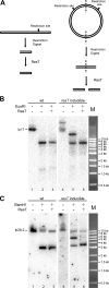FIG 8