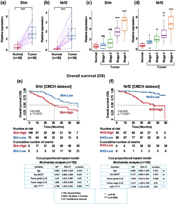 Widespread expression of Sonic hedgehog (Shh) and Nrf2 in patients ...