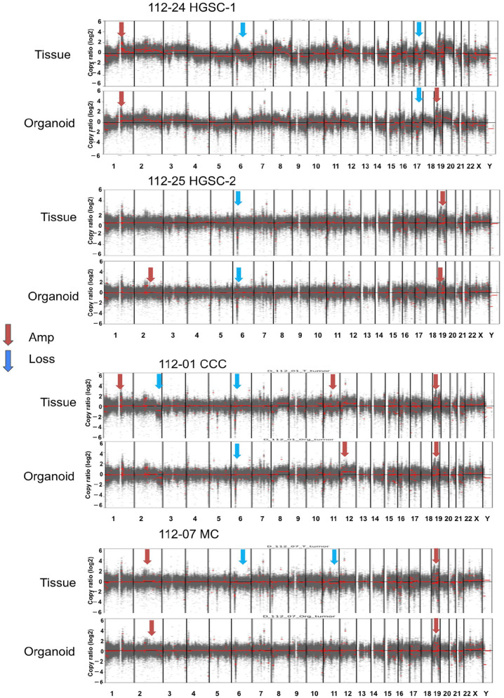 Figure 6.