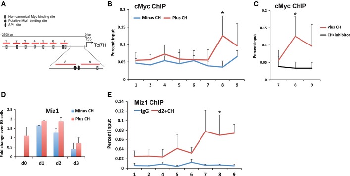 Figure 7