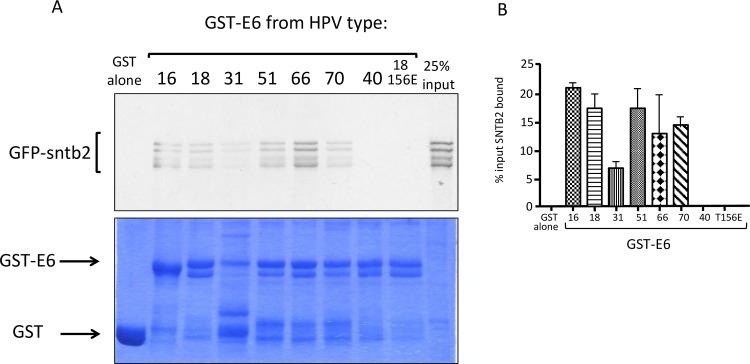 Fig 9