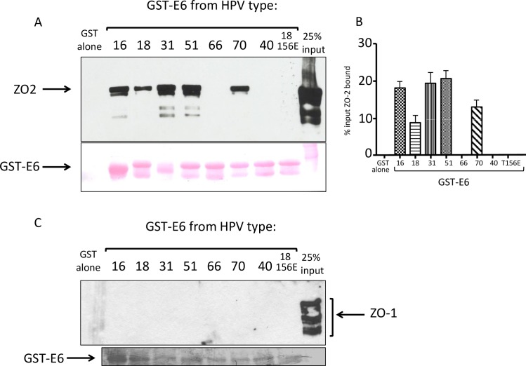 Fig 8