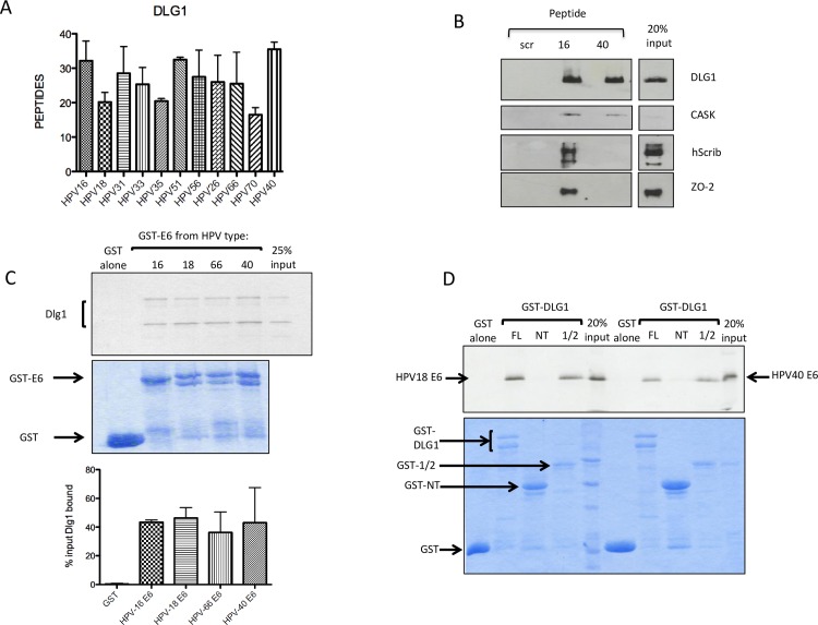 Fig 6