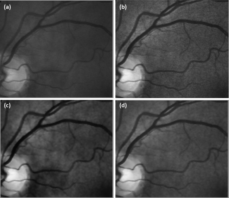 Fig. 7