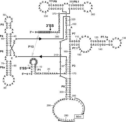 FIG. 3.