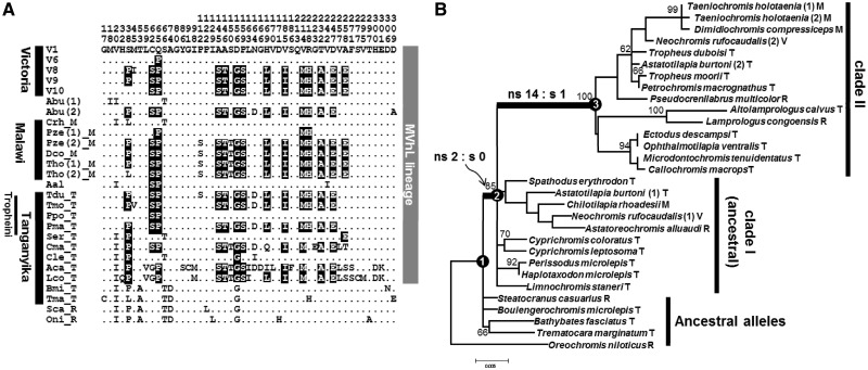 Fig. 3.—