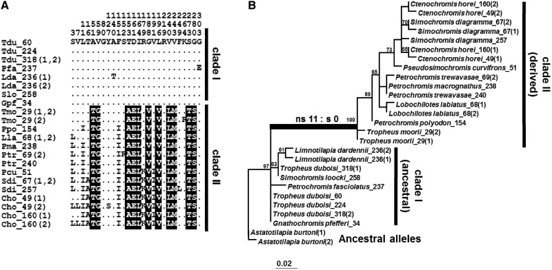 Fig. 4.—