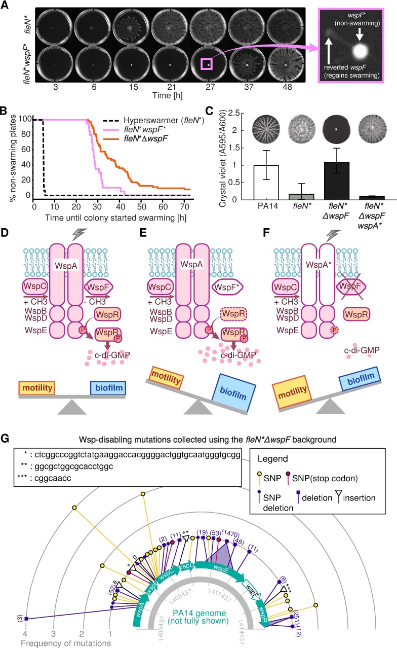 Fig 6