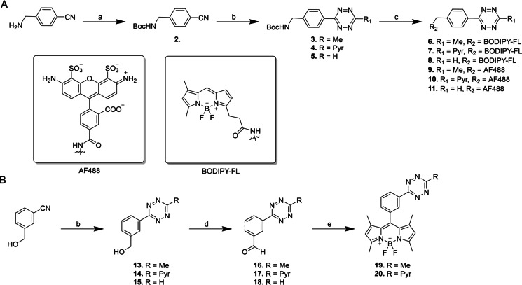 Scheme 1