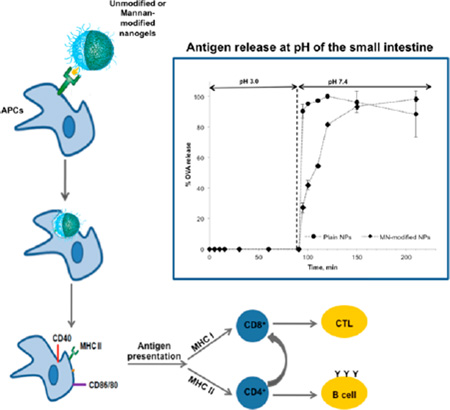 graphic file with name nihms706281f8.jpg