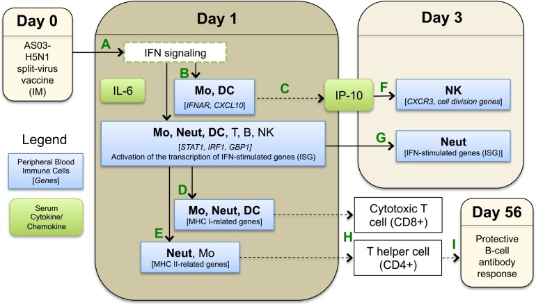 Fig 12