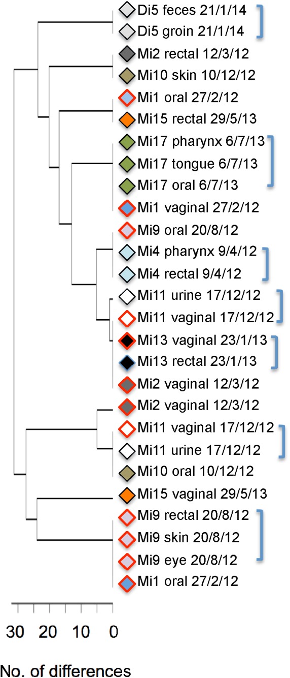 FIGURE 6