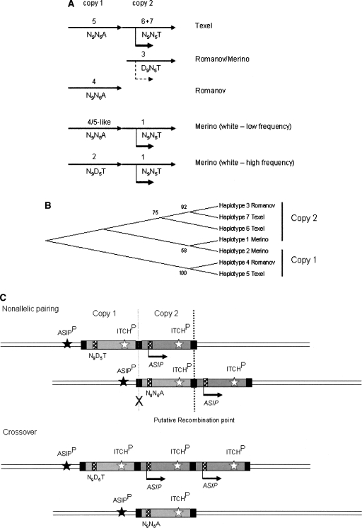 Figure 6.