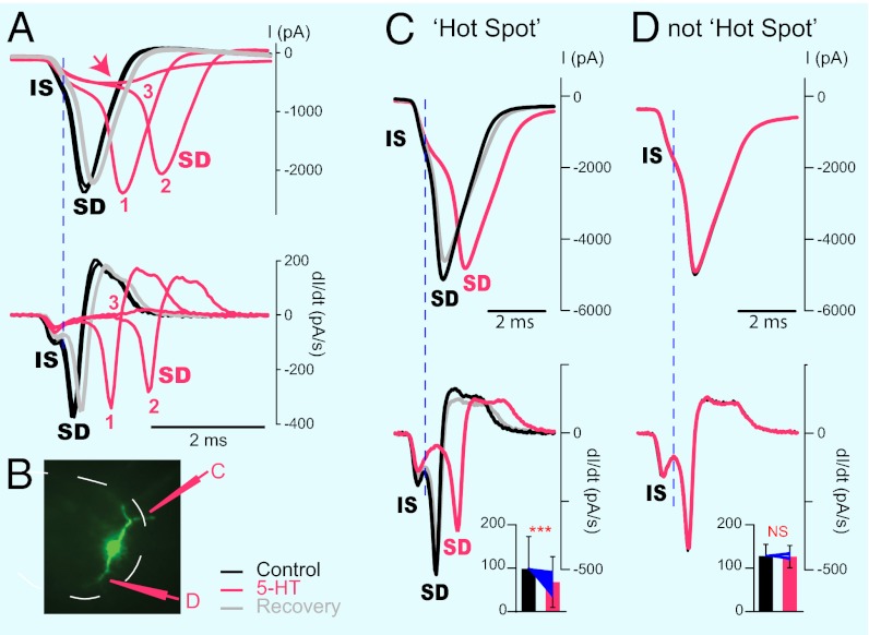 Fig. 4.