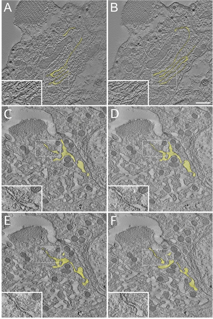 Fig. 5.