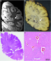 <b>FIG. 9.</b>