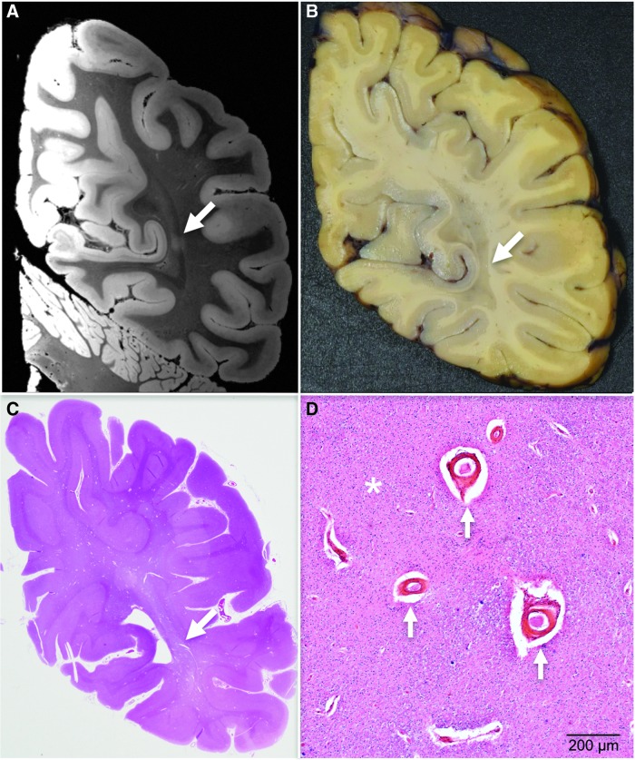 FIG. 9.