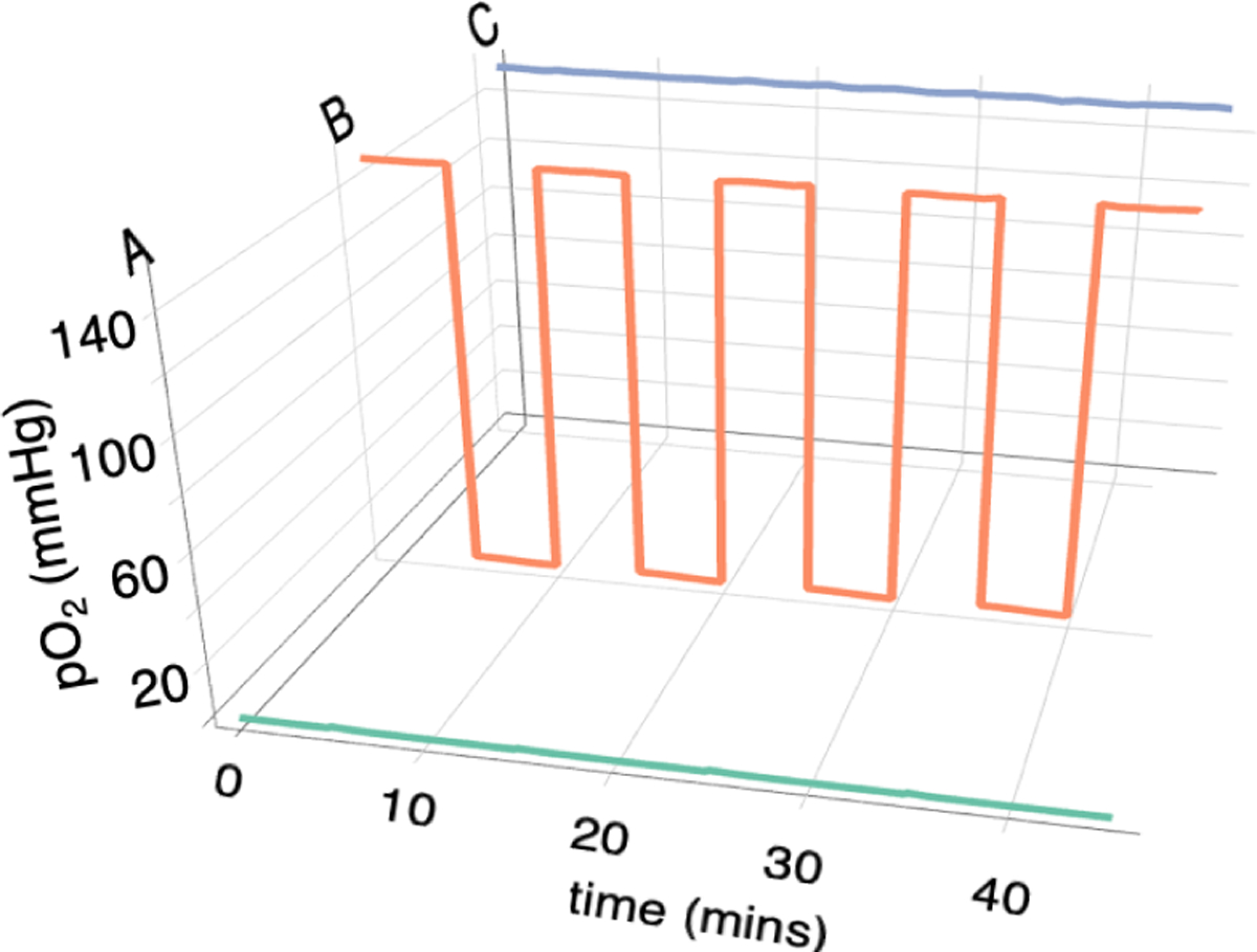 Figure 3.