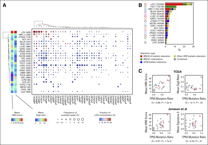 A comprehensive pan-cancer analysis on the clinical significance of homologous recombination deficiency