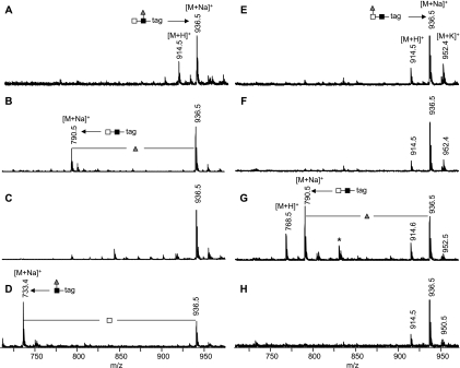 Fig. 9.