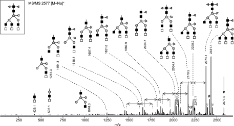 Fig. 7.