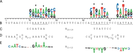 Fig. 8.