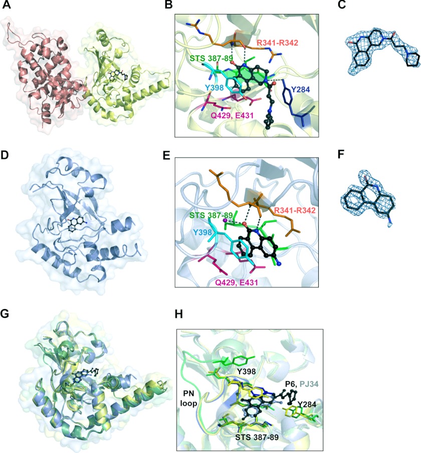 FIGURE 6.